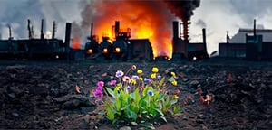 L'industrie sidérurgique peut-elle atteindre ses objectifs en matière de climat ?